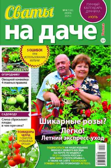 Сваты. На даче: №6 за июнь 2025г.