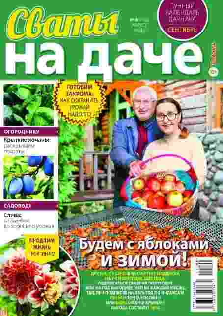 jurnal/svatih-na-dache/8-08-2024.jpg
